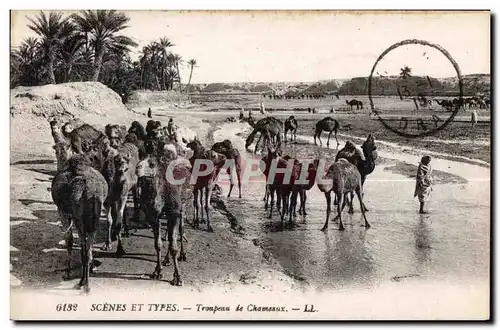 Ansichtskarte AK Maroc Scenes et types Troupeau le Chameaux Camel Chameau