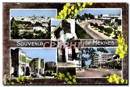 Cartes postales moderne Maroc Souvenir De Meknes