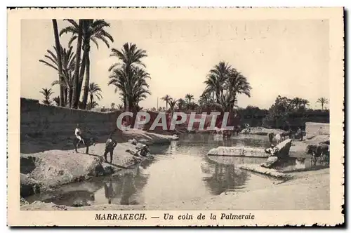 Cartes postales Maroc Marrakech Un coin de la Palmeraie