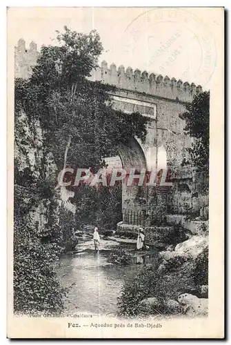 Cartes postales Maroc Fez Aqueduc pres de Bab-Djedb