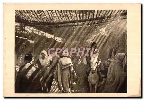 Cartes postales Maroc Maroc Dans Les Souks Ane Donkey