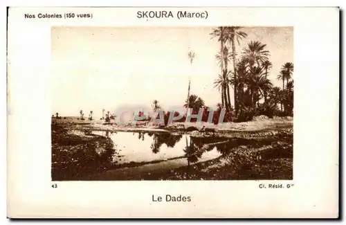 Cartes postales Maroc Skoura (Maroc) Le Dades