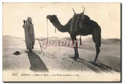 Ansichtskarte AK Maroc Maroc Scenes et Types La Pierre au desert Camel Chameau