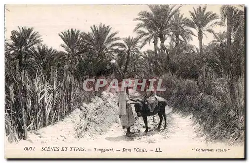 Cartes postales Scenes et Types Touggourt Dans I Oasis Ane Donkey