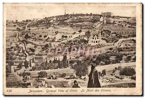 Ansichtskarte AK Israel Jerusalem General View of Olivet Le Mont des Oliviers