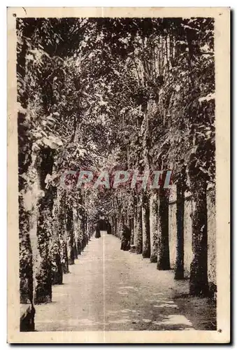 Cartes postales Craon Monastere des Benedictines du Saint Sacrement l Allee des Tilleuls