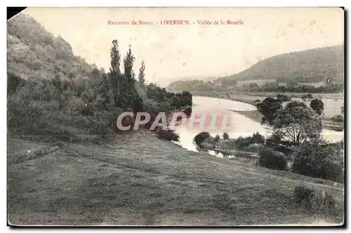 Cartes postales Militaria Cartes postales Environs de Nancy Liverdun Vallee de la Moselle