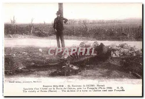 Ansichtskarte AK Reims Environs de Reims Squelette d un Chevai sur Route de Chalons pres la Pompelle The Vicinity