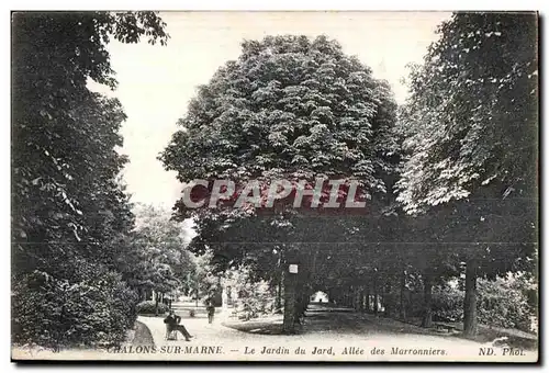 Ansichtskarte AK Chalons sur Marne Le Jardin du Jard Allee des Marronniers