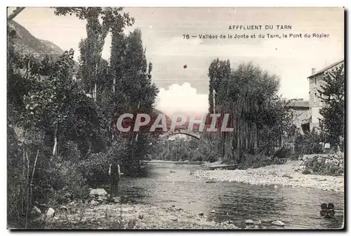 Afffluent Du Tarn Vallees de la Jonte et du Tarn le Pont du Rozien