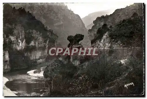 Ansichtskarte AK Gorges du Tarn Le Champignon