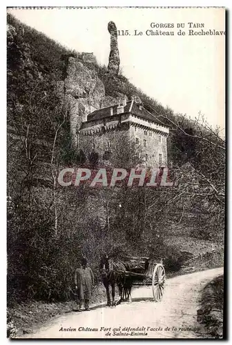 Ansichtskarte AK Gorges du Tarn Le Chateau de Rocheblave