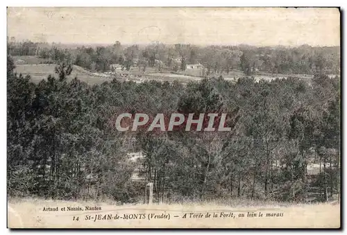 Cartes postales St jean de monts (Vendee) A I oree de la foret au loin le matass