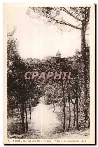 Cartes postales Saint Jean de Monts (Vendee) Allee de la Chapellenie