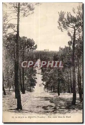 Cartes postales St Jean de Monts (Vendee) Une route dans la Foret