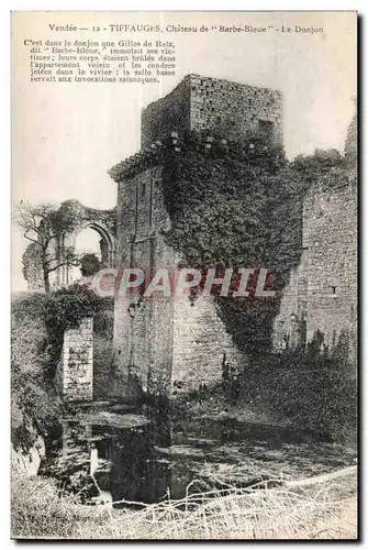 Ansichtskarte AK Vendee Tiffauges Vue d ensemble de Barbe Bleu Le Donjon