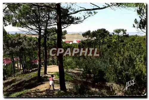 Cartes postales moderne Notre Dame de Monts (Vendee) Paysage en Foret