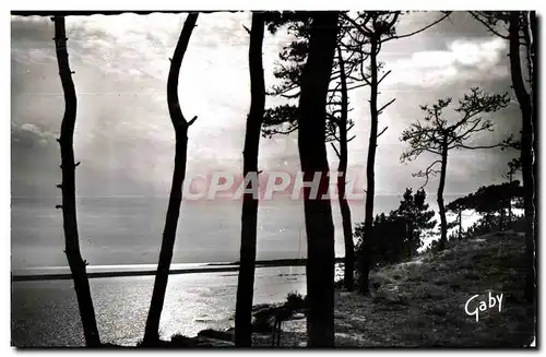 Cartes postales moderne L Aiguillon La Faute Sur Mer (Vendee) Baie de la Belle Henriette