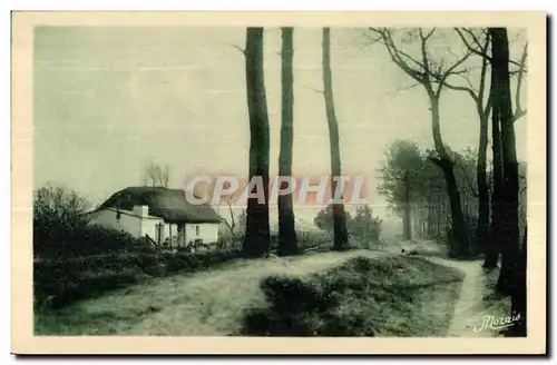 Ansichtskarte AK Les Plus Beaux Paysages de la Vendee Maraichine Bournie en bordure de foret