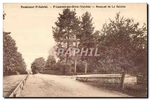 Ansichtskarte AK Pensionnat St Gabriel St Laurent sur Sevre (Vendee) Bosquet de la Salette