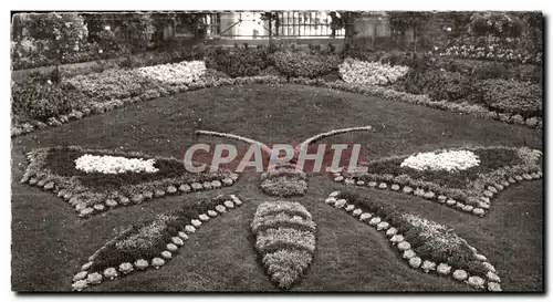 Cartes postales moderne Avranches (manche) le jardin des plantes le papillon Butterfly