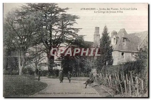 Cartes postales Avranches jardin des plantes le grand cedre le college de jeunes filles