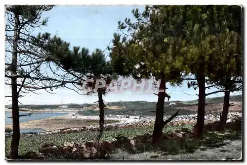 Cartes postales moderne Cherbourg Route Touristique Cherbourg Saint Pierre Eglise A travers les Pins vers Fermanville