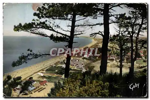 Cartes postales Carolles (Manche) La Plage a travers les Arbres