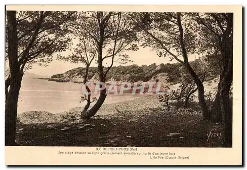 Ansichtskarte AK Ile De port Cros (Var) Une plage