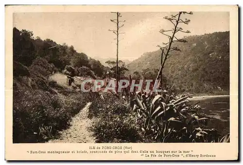 Ansichtskarte AK Ile de Port Cros (Var) Port Cros montagneure et boinee couronnee de pins qui font d elle un bouq