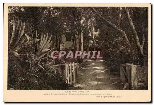 Cartes postales Le de Port Cros (Var) Vers le Chateau de feerie