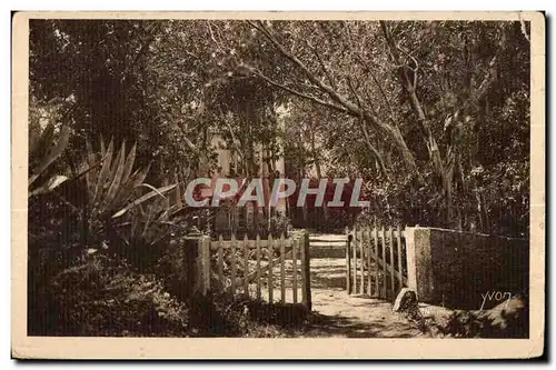 Cartes postales Ile De Port Cros (Var) Le Manour d Helene et de Jean d Agree dans un hameau fremissant d Eucalyp