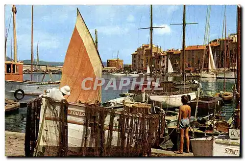 Cartes postales moderne Saint Tropez (Var) Le Port