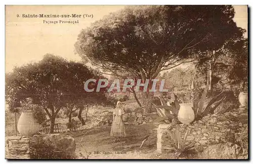 Cartes postales Sainte Maxime sur Mer (Var) Payssage Provencal