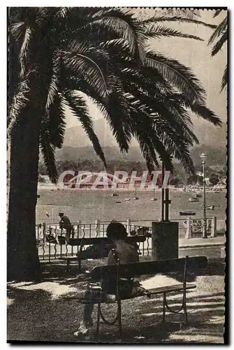 Cartes postales Sainte Maxime sur mer (Var) La Place des Palmiers