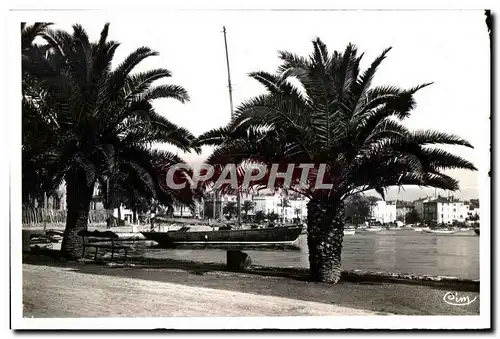 Cartes postales Sanary sur Mer (Var) Un coin du Quai