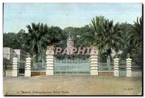 Cartes postales Tamaris Entree Chateau michel pacha