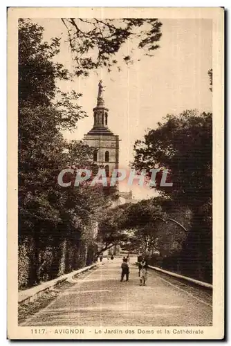 Cartes postales Avignon Le Jardins des Doms et la Cathedrale