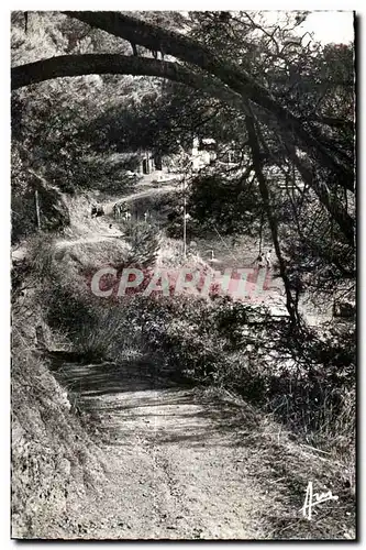 Cartes postales Cote d Azur Toulon Cap BRun Chemin des douaniers