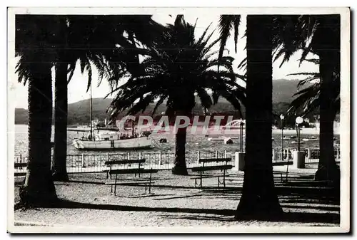 Ansichtskarte AK Saint Maxime Sur Mer Place des Palmiers