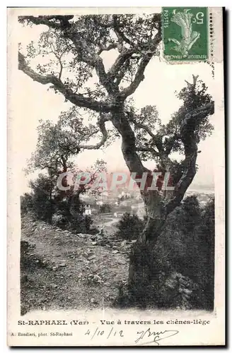 Cartes postales St Raphael Vue a travers les chenes liege