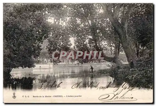 Cartes postales Bords de la Marne Creteil L Arbre penche