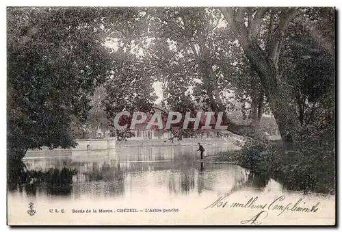 Cartes postales Bords de la Marne Creteil L Arbre penche