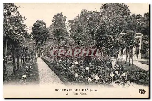 Cartes postales Roseraie de l Hay (Seine) Une Allee
