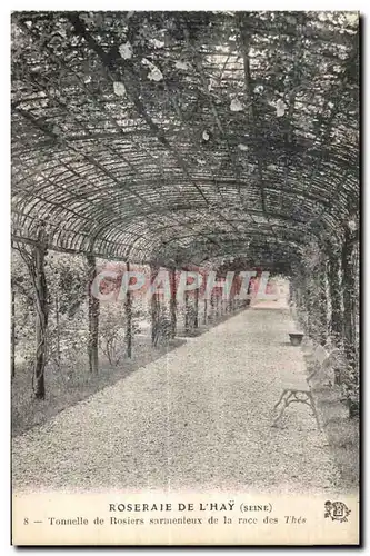 Cartes postales Roseraie de l Hay (Seine) Tonnelle de Rosiers sarmenteux de la race des Thes