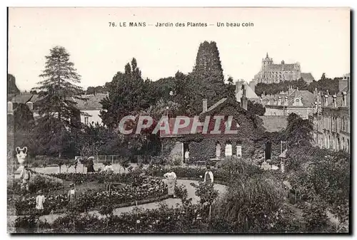 Cartes postales Le Mans Jardin des Plantes Un beau coin