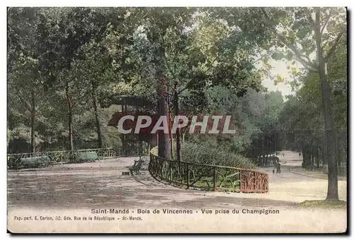 Cartes postales Saint Mande Bois de Vincennes Vue prise du Champignon