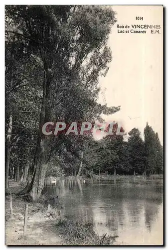 Cartes postales Bois de Vincennes Lac et Canards