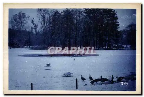 Cartes postales Vincennes En Flanant Au Bois De Le lac des Minimes En hiver