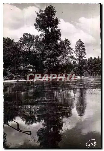 Cartes postales moderne Vincennes Paris (Seine) Le Bois De Site pittoreaque sur le lae Daumesnil